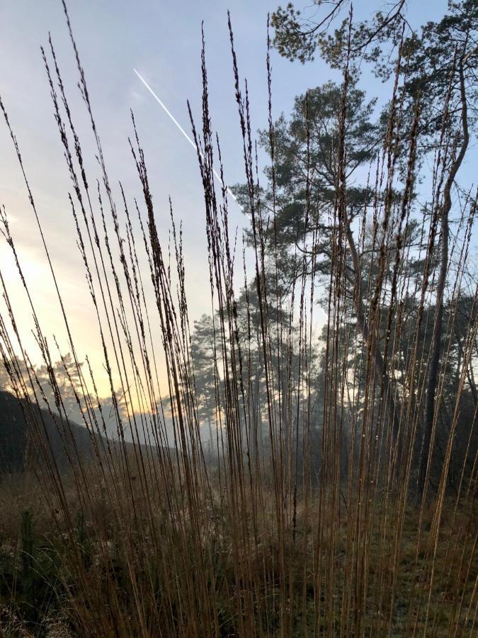Het Natuurhuisje Op De Veluwe นึนชเปท ภายนอก รูปภาพ
