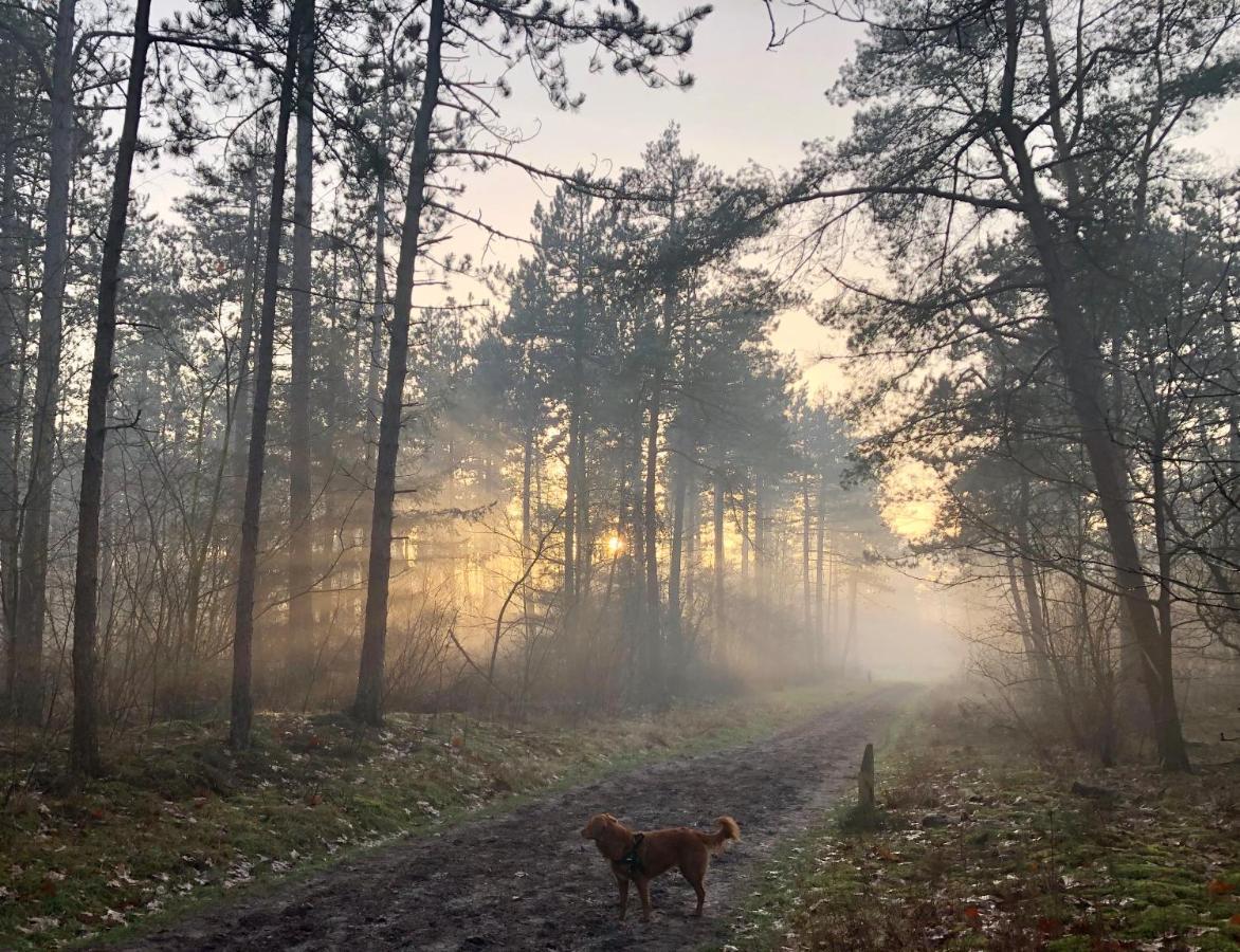 Het Natuurhuisje Op De Veluwe นึนชเปท ภายนอก รูปภาพ