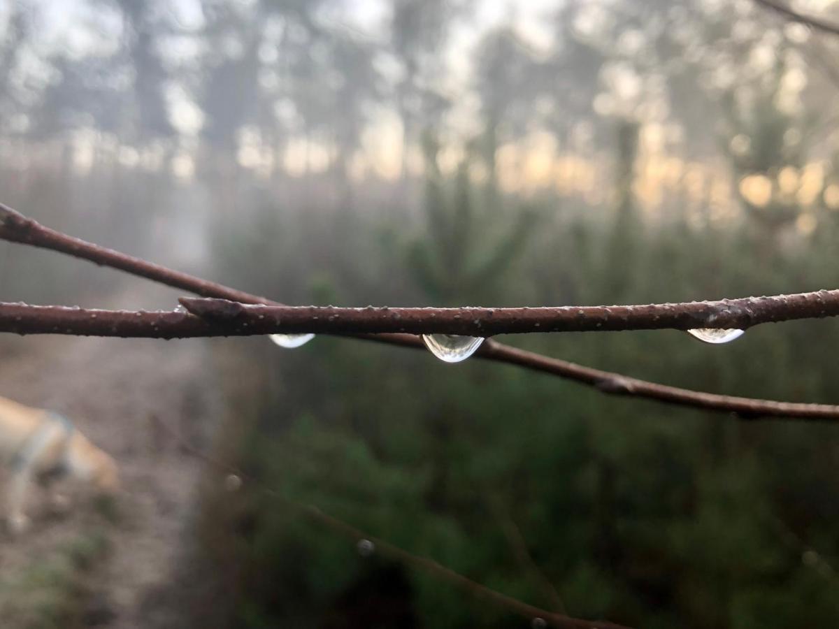 Het Natuurhuisje Op De Veluwe นึนชเปท ภายนอก รูปภาพ