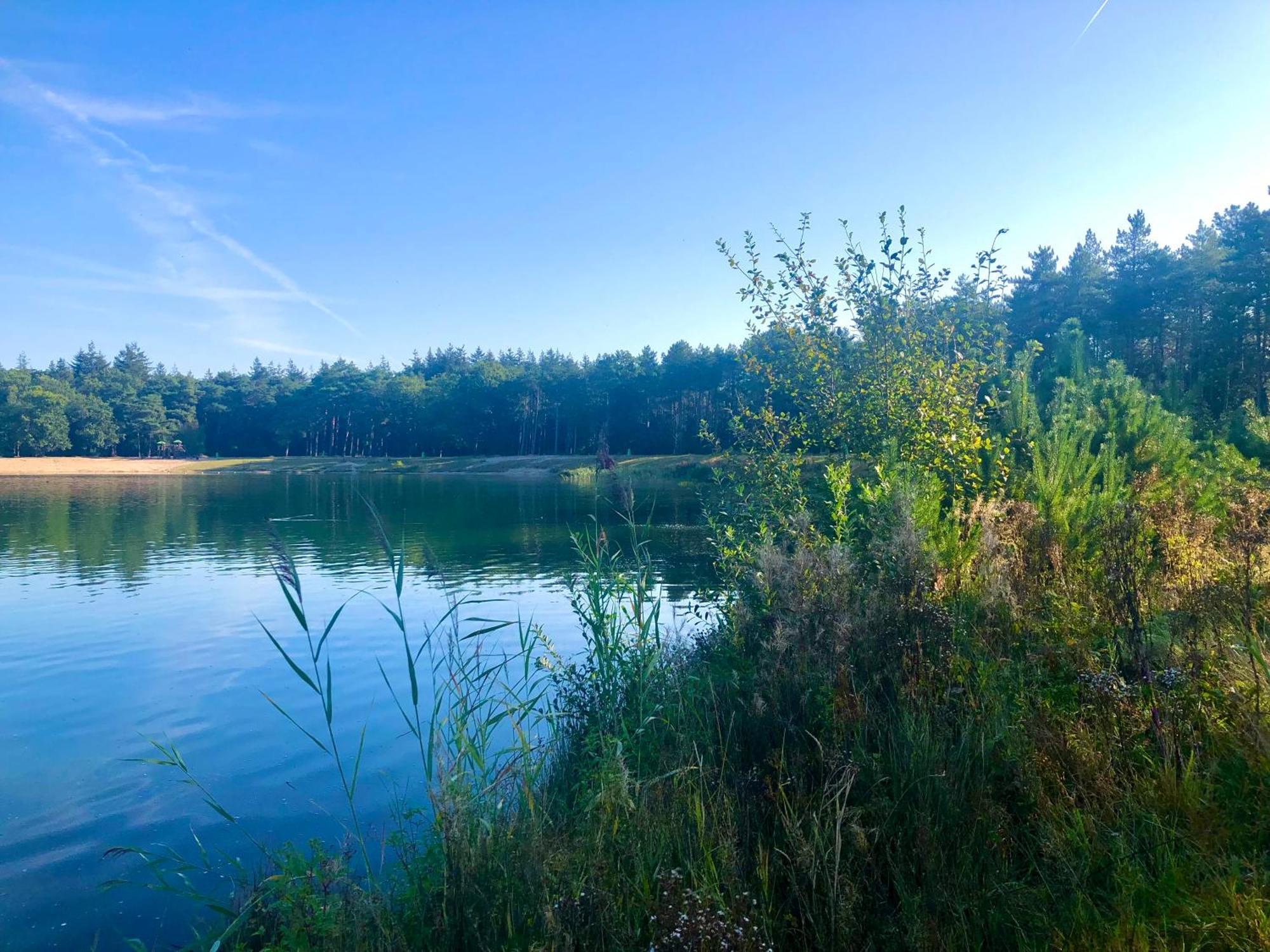 Het Natuurhuisje Op De Veluwe นึนชเปท ภายนอก รูปภาพ
