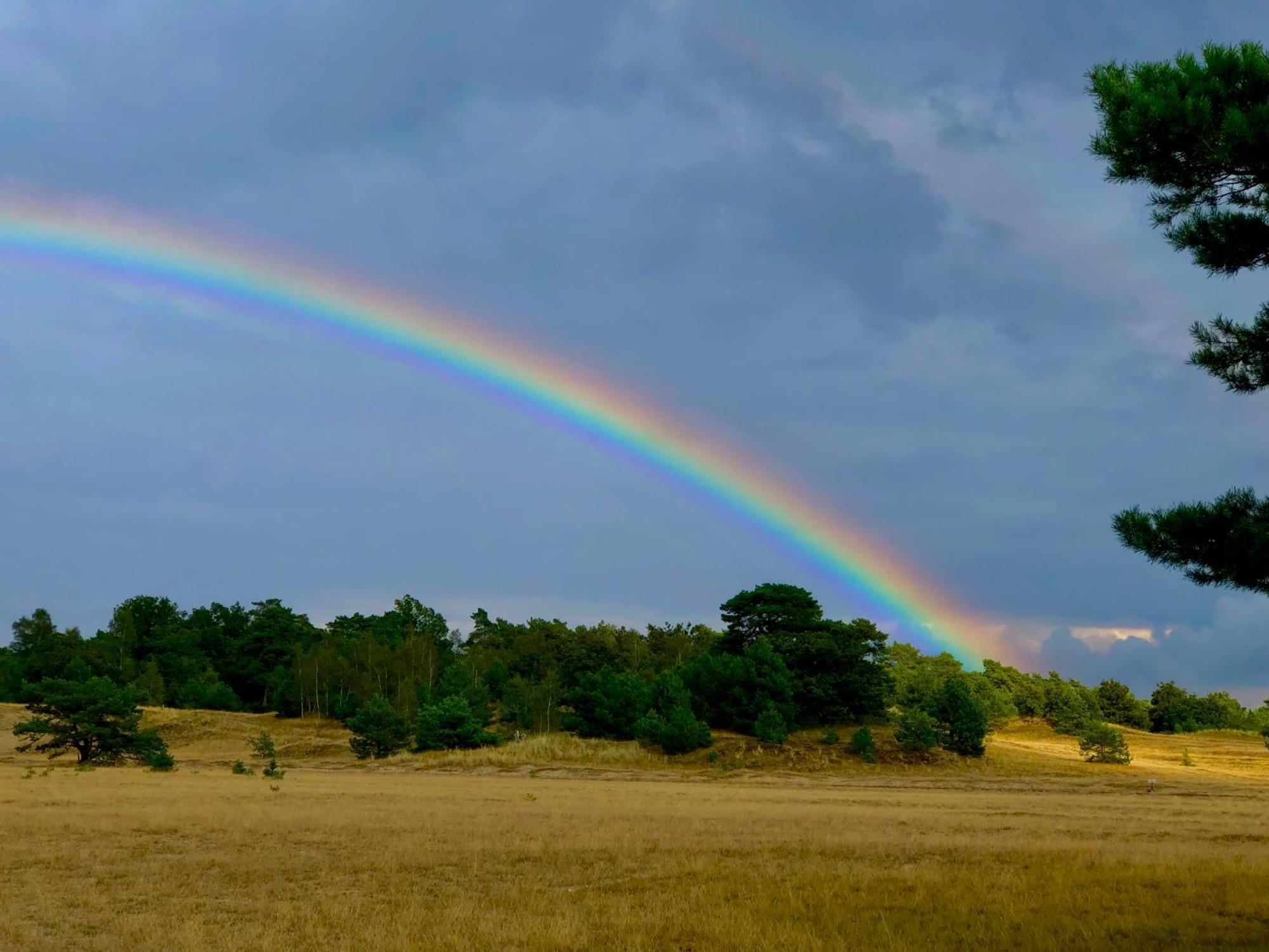 Het Natuurhuisje Op De Veluwe นึนชเปท ภายนอก รูปภาพ